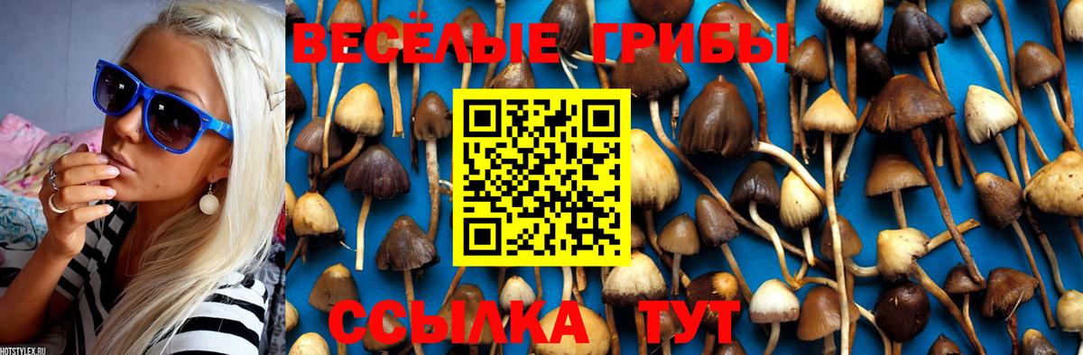 Галлюциногенные грибы Magic Shrooms  наркота  Сибай  Вход с VPN 